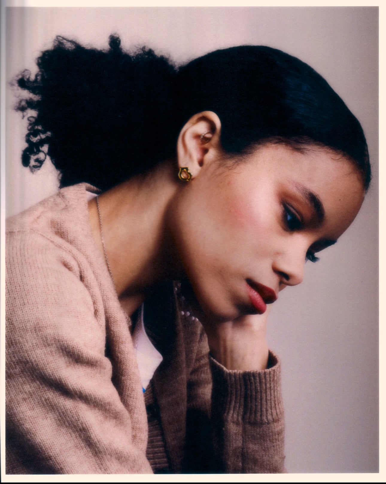 LES BISES BOUCLES D'OREILLES